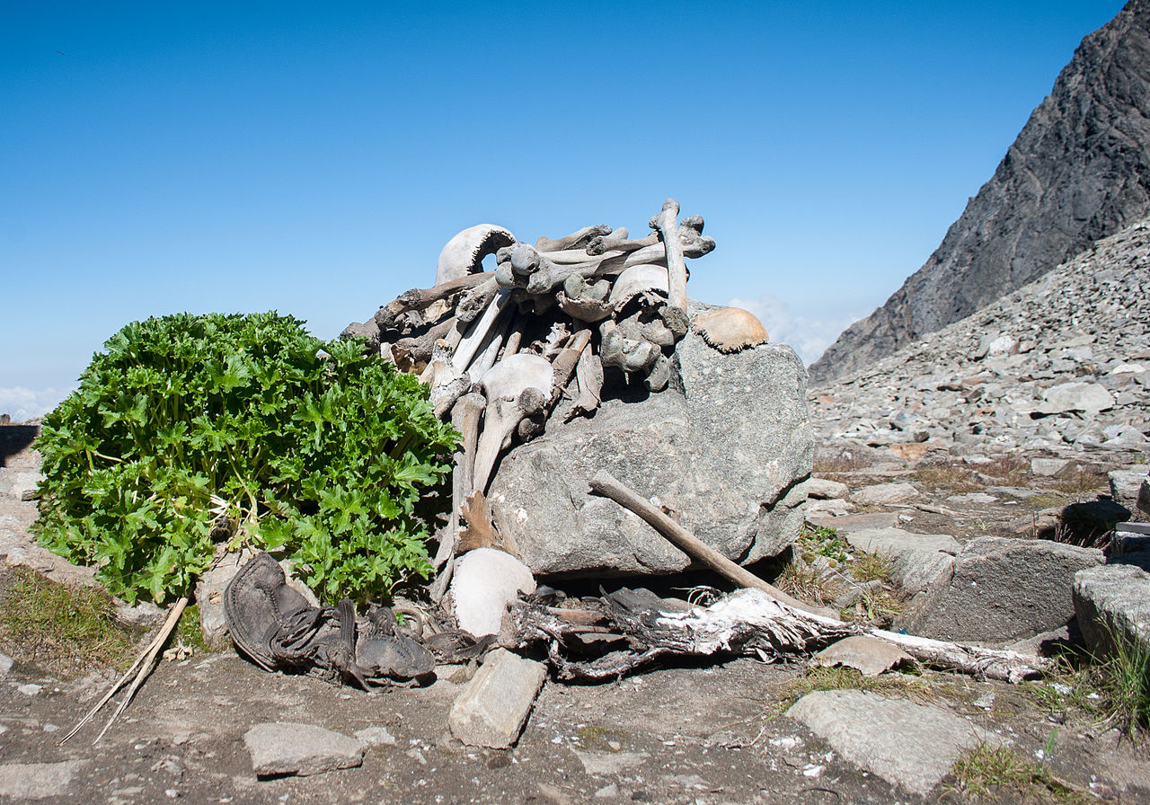 Rupkund Trek
